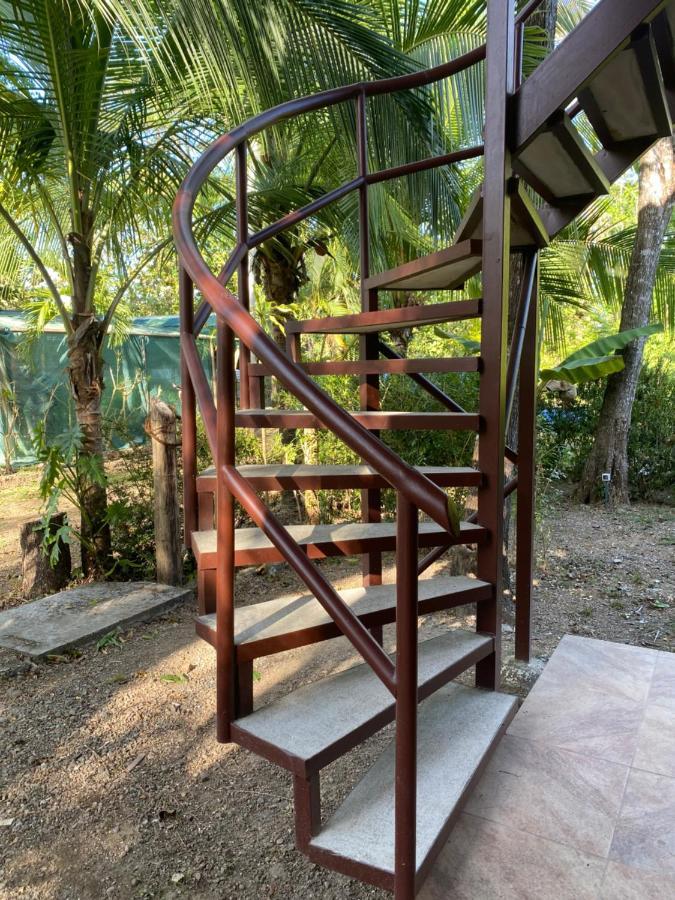 פקוארה Jazlyn Lodge & Tours מראה חיצוני תמונה