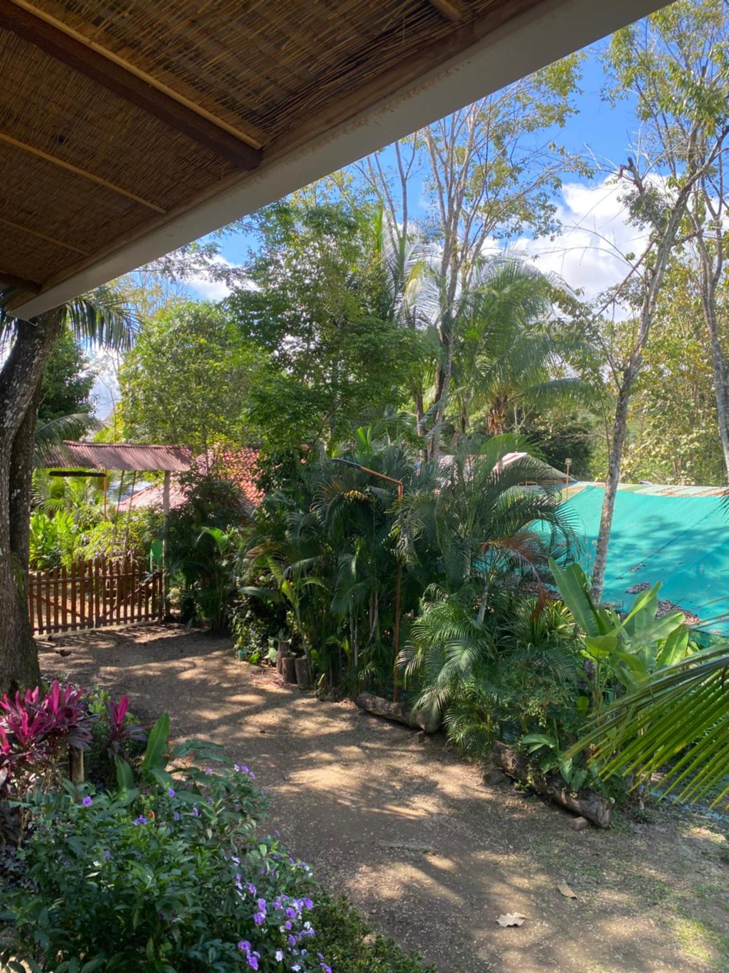 פקוארה Jazlyn Lodge & Tours מראה חיצוני תמונה