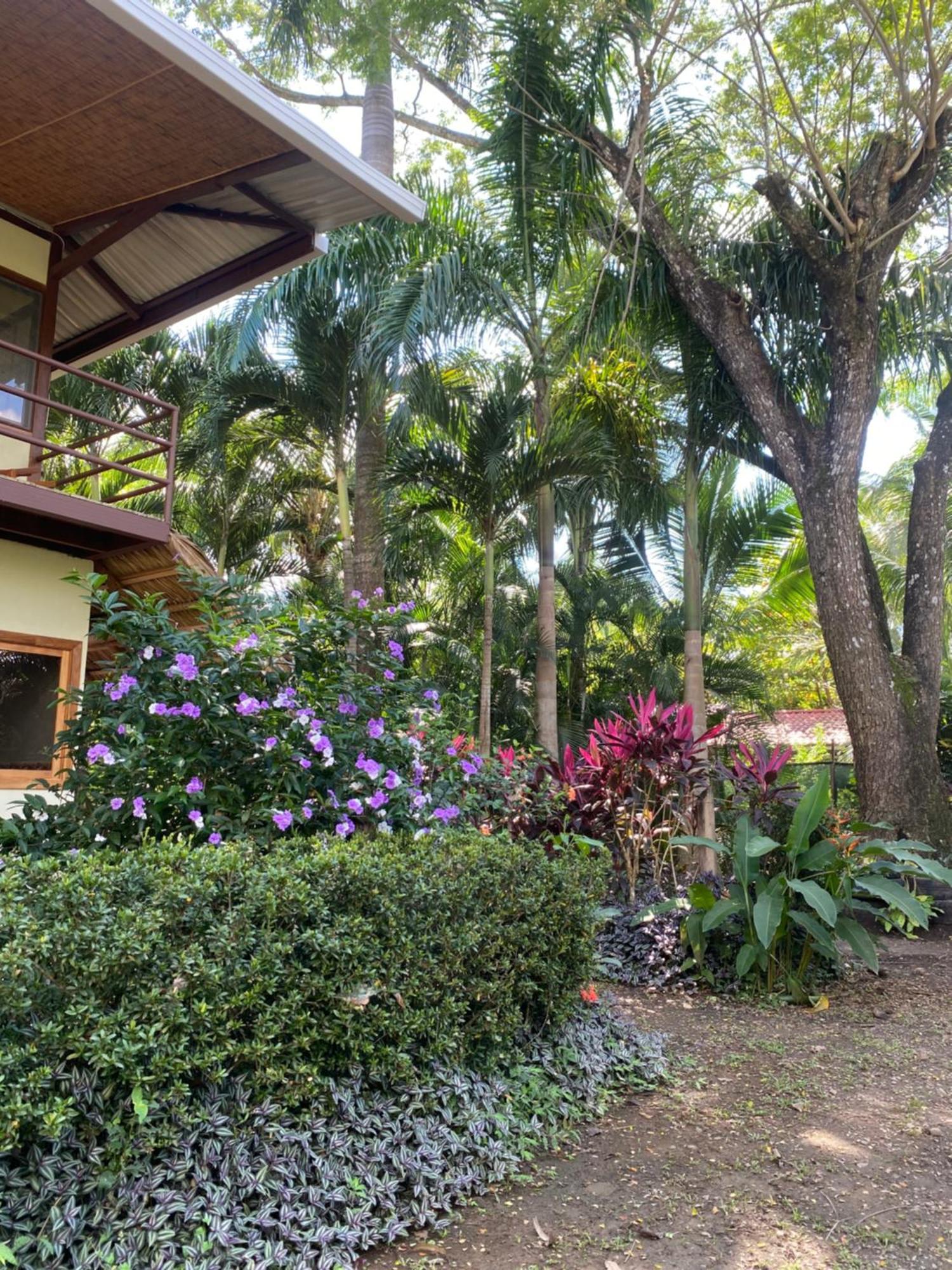 פקוארה Jazlyn Lodge & Tours מראה חיצוני תמונה